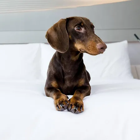 Innside Tenerife Cruz 4* Santa-Cruz de Ténérife